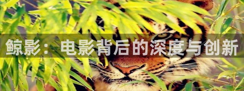免费下载精东影业app