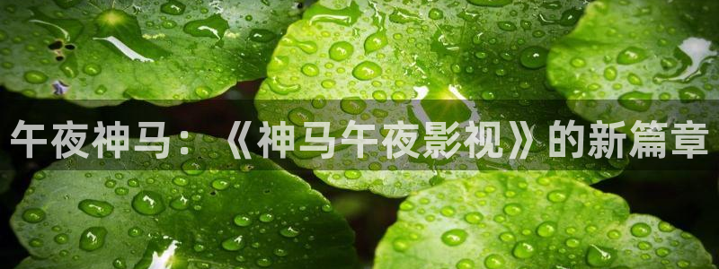嫦娥性艳史电影精东影业