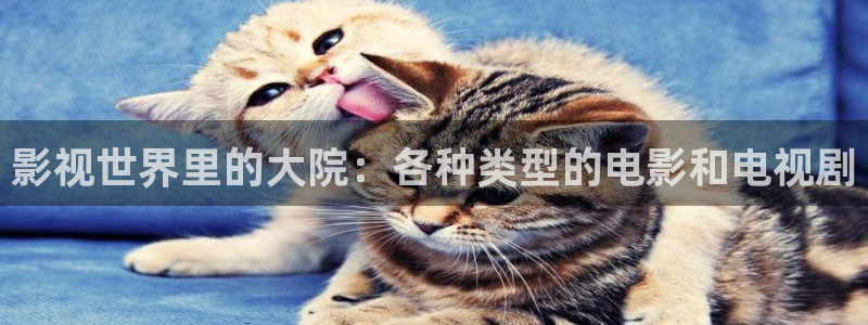 果冻传媒精东影业