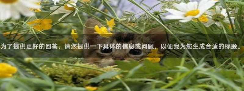 精东影业电影完整版免费观看