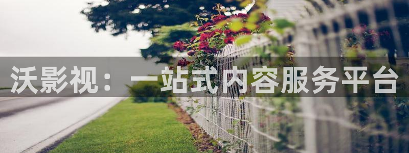 精东影业 神马